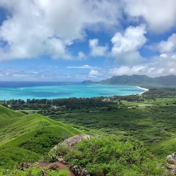 Meet your Posher, Katherine - Picture 3 of 3